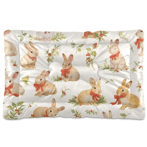 WDdZzyy Hundehütte mit niedlicher kleiner Schleife, waschbar, weich, rutschfest, für mittelgroße und große Hunde, 91,4 x 61 cm WDdZzyy Hundehütte mit niedlicher kleiner Schleife, waschbar, weich, rutschfest, für mittelgroße und große Hunde, 91,4 x 61 cm von WDdZzyy