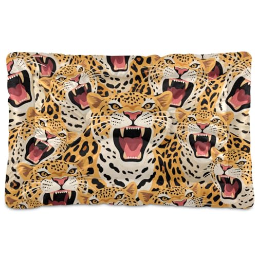 WDdZzyy Hundematte mit buntem Cartoon-Tier-Leopardenmuster, waschbar, weich, rutschfest, für mittelgroße und große Hunde, 91,4 x 61 cm von WDdZzyy