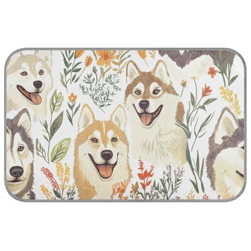 WDdZzyy Lustige Sibirische Huskyanimals weiße Sommer-Kühldecke für Hunde, selbstkühlende Pads für Hunde für Kaninchen, Reisen, abnehmbare Mantas frías para Perros M WDdZzyy Lustige Sibirische Huskyanimals weiße Sommer-Kühldecke für Hunde, selbstkühlende Pads für Hunde für Kaninchen, Reisen, abnehmbare Mantas frías para Perros M von WDdZzyy