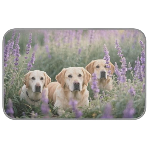 WDdZzyy Sommerdecke mit Blumenmotiv für Katzen, selbstkühlend, 96,5 x 58,4 cm, coole Haustierunterlage für Schwein, gemütlich, schlafen, niedlich, Esterilla, Refrescante Para Perros, Größe M WDdZzyy Sommerdecke mit Blumenmotiv für Katzen, selbstkühlend, 96,5 x 58,4 cm, coole Haustierunterlage für Schwein, gemütlich, schlafen, niedlich, Esterilla, Refrescante Para Perros, Größe M von WDdZzyy