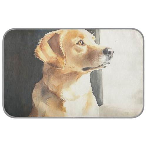 WDdZzyy Süße Sommerdecke für große Hunde, selbstkühlend, 96,5 x 58,4 cm, Kühlmatte für Huhn, gemütliches Schlafen, niedliches Cama Fria Para Perro, M von WDdZzyy