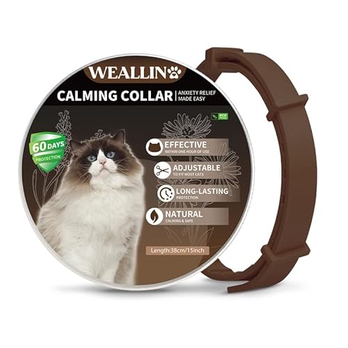 WEALLIN Katze Beruhigende Halsband, Anti-Angst-Pheromon Beruhigende Halsband Für Katzen, Sichere Und Wirksam, Einstellbare & Wasserdicht Beruhigende Katze Halsband(1er-Pack), Braun von WEALLIN