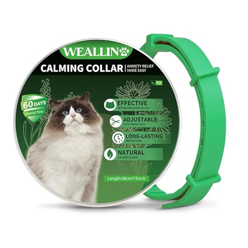 WEALLIN Katze Beruhigende Halsband, Anti-Angst-Pheromon Beruhigende Halsband Für Katzen, Sichere Und Wirksam, Einstellbare & Wasserdicht Beruhigende Katze Halsband(1er-Pack), Grün von WEALLIN