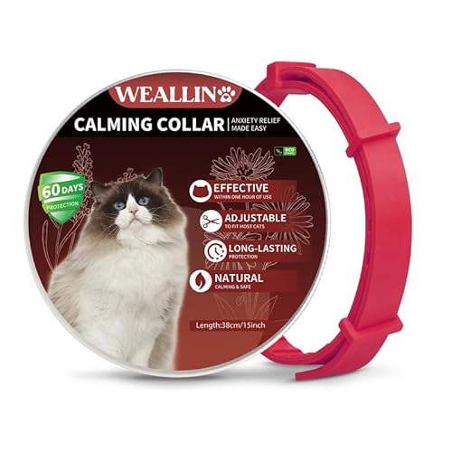WEALLIN Katze Beruhigende Halsband, Anti-Angst-Pheromon Beruhigende Halsband Für Katzen, Sichere Und Wirksam, Einstellbare & Wasserdicht Beruhigende Katze Halsband(1er-Pack), Rot von WEALLIN