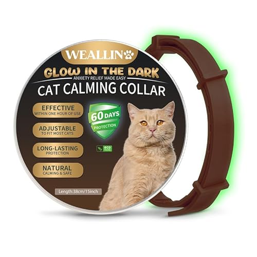 WEALLIN Katze Beruhigende Halsband, Leuchtendes Sicherheitsglühen Beruhigende Halsband Für Katzen, Einstellbare & Wasserdicht Anti-Angst-Pheromon Beruhigende Katze Halsband(1er-Pack), Braun von WEALLIN