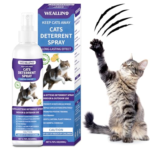 WEALLIN Katzenabwehrspray, 200ml Anti Kratz Spray für Katzen, Fernhaltespray Katzen für Innen und Außen, Schützt Möbel, Böden und Pflanzen, Effektives Katzentraining WEALLIN Katzenabwehrspray, 200ml Anti Kratz Spray für Katzen, Fernhaltespray Katzen für Innen und Außen, Schützt Möbel, Böden und Pflanzen, Effektives Katzentraining von WEALLIN