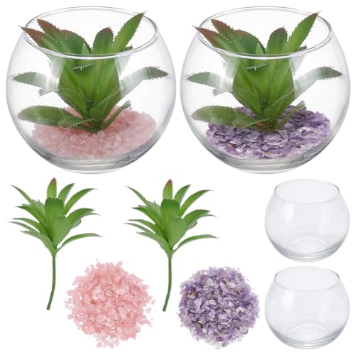WEBEEDY 2 Sets DIY Glaspflanzen Terrarium Kit für Erwachsene, Mini Terrarium Starter Kit mit Pflanzen, Kristallen, Mikrolandschaft DIY Kit für Zuhause Schlafzimmer Party Dekor Kunst & Handwerk von WEBEEDY