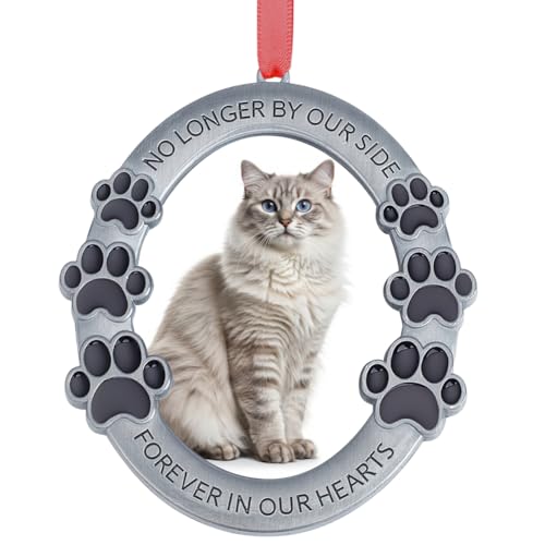 WEBEEDY Haustier Gedenkfotokugel Für Weihnachtsbaum Haustier Gedenkstück Bilderrahmen Mit Pfotenabdrücken Für Immer In Unseren Herzen Erinnerungsanhänger Für Hunde Und Katzen von WEBEEDY