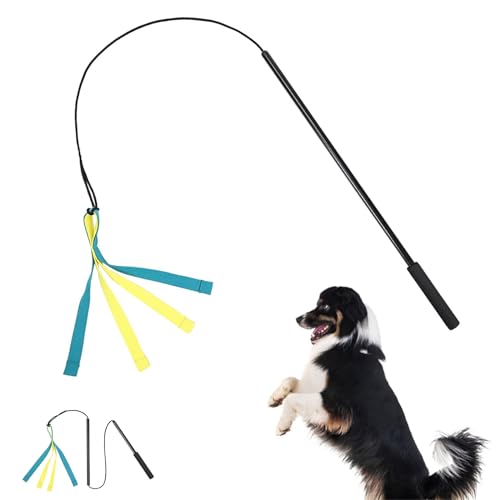 Flirtstange für Hunde, Seilspielzeug, interaktives Hundespielzeug, Beweglichkeitsausrüstung für den Außenbereich, Jagdspielzeug, Trainingsspielzeug, Spielstab, unzerstörbarer Schwanz-Teaser und Flirtstange für Hunde, Seilspielzeug, interaktives Hundespielzeug, Beweglichkeitsausrüstung für den Außenbereich, Jagdspielzeug, Trainingsspielzeug, Spielstab, unzerstörbarer Schwanz-Teaser und von WEEVDRIE