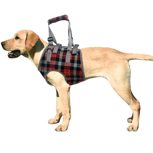 Hebegeschirr, Hundegeschirr für Vorderbeine, Hundeheber, Beinstütze, Hundeschlinge für verletzte Behinderte, mit weichem Griff, Schultergurt für kleine, mittelgroße und große Hunde (S,6,8–12,7 kg) Hebegeschirr, Hundegeschirr für Vorderbeine, Hundeheber, Beinstütze, Hundeschlinge für verletzte Behinderte, mit weichem Griff, Schultergurt für kleine, mittelgroße und große Hunde (S,6,8–12,7 kg) von WEEVDRIE