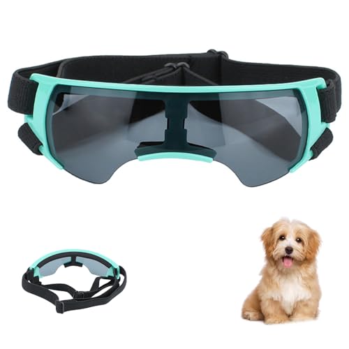 Hundebrille,Sonnenbrille Für Hunde,Augenschutzbrille Für Hunde,Hundebrille Für Kleine Hunde,Hundebrille Für Mittlere Hunde,Anti-UV Wasserdicht Winddicht Einstellbar Sonnenbrille Schutzbrille (Blau) Hundebrille,Sonnenbrille Für Hunde,Augenschutzbrille Für Hunde,Hundebrille Für Kleine Hunde,Hundebrille Für Mittlere Hunde,Anti-UV Wasserdicht Winddicht Einstellbar Sonnenbrille Schutzbrille (Blau) von WEEVDRIE