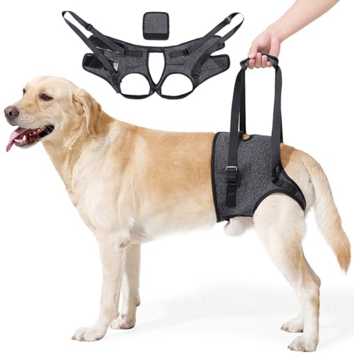 Hundehebegeschirr,Hundestützgeschirr für Hinterbeine,Hunde-Stützschlinge,Genesungsschlinge,Hunde-Hebegurt für Arthritis, Lähmung und Spaziergänge (M) von WEEVDRIE