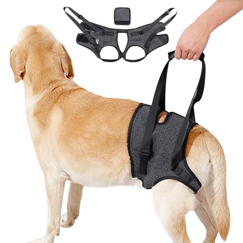 Hundehebegeschirr,Hundestützgeschirr für Hinterbeine,Hunde-Stützschlinge,Genesungsschlinge,Hunde-Hebegurt für Arthritis, Lähmung und Spaziergänge (S) von WEEVDRIE