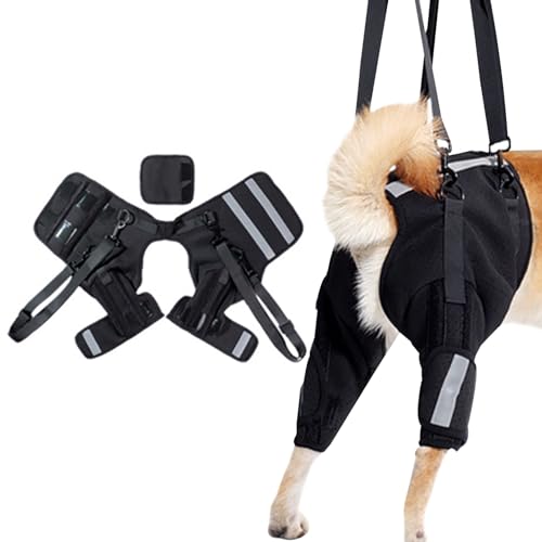 Hundehebegeschirr,Hundestützgeschirr für Hinterbeine,Hundeschlinge für die Hinterbeinstütze,Hundestützschlinge für Hinterbeine,Hunde-Hinterbeinstütze für kleine,mittelgroße,große Hunde (15.7-20.9in) Hundehebegeschirr,Hundestützgeschirr für Hinterbeine,Hundeschlinge für die Hinterbeinstütze,Hundestützschlinge für Hinterbeine,Hunde-Hinterbeinstütze für kleine,mittelgroße,große Hunde (15.7-20.9in) von WEEVDRIE