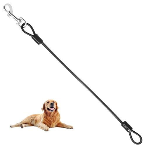 Hundeleine Chew Proof, Hundeleine Kette, Hundekette Leine Bissfest,Hundeleine für große und mittelgroße Hunde,Führleine für Hunde,Dog Leine aus Draht,48 cm/19 Zoll Hundekettenleine Hundeleine Chew Proof, Hundeleine Kette, Hundekette Leine Bissfest,Hundeleine für große und mittelgroße Hunde,Führleine für Hunde,Dog Leine aus Draht,48 cm/19 Zoll Hundekettenleine von WEEVDRIE