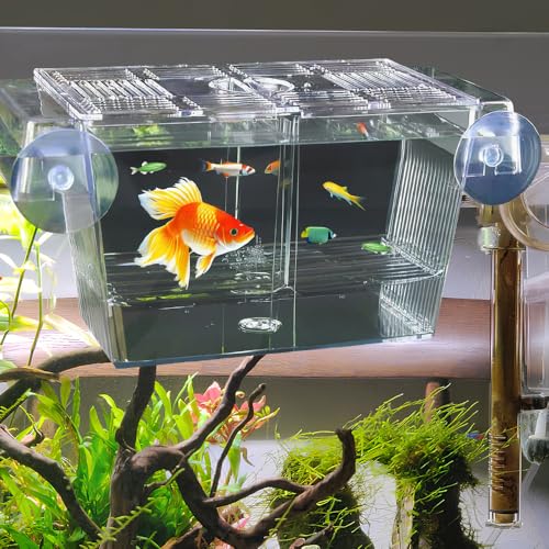 WEFHEF Acrylic Zuchtbecken Fish Aufzuchtbecken Aquarium Zuchtbox Aufzuchtbox Aufzuchtbehälter Zuchtkasten mit Saugnäpfen Aquarium Laichkasten Ablaichkasten Ableichbecken Brutkasten Fischbrutkasten WEFHEF Acrylic Zuchtbecken Fish Aufzuchtbecken Aquarium Zuchtbox Aufzuchtbox Aufzuchtbehälter Zuchtkasten mit Saugnäpfen Aquarium Laichkasten Ablaichkasten Ableichbecken Brutkasten Fischbrutkasten von WEFHEF