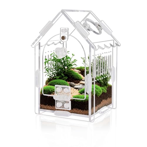 Springspinnengehege – Innenmaße 8 x 8 x 14,2 cm, Acryl-Terrarium-Set für Vogelspinnen/Mantis/Reptilien mit magnetischer Tür, Belüftung und einfacher Montage Springspinnengehege – Innenmaße 8 x 8 x 14,2 cm, Acryl-Terrarium-Set für Vogelspinnen/Mantis/Reptilien mit magnetischer Tür, Belüftung und einfacher Montage von WEIKEJINA