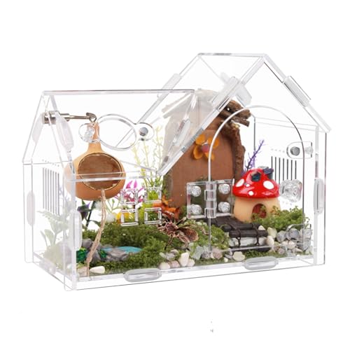 Springspinnengehege aus Acryl mit Magnettür - Transparentes Vogelspinnen-Terrarium für Haustierspinnen - Sicherer & belüfteter Reptilienlebensraum für Einsiedlerkrebse, Geckos und kleine Insekten Springspinnengehege aus Acryl mit Magnettür - Transparentes Vogelspinnen-Terrarium für Haustierspinnen - Sicherer & belüfteter Reptilienlebensraum für Einsiedlerkrebse, Geckos und kleine Insekten von WEIKEJINA