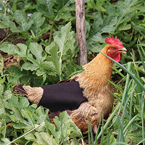 WEISUO Hühnersättel Hühnerschürzen Hühnerjackengurte Geflügelschutzschürze für Geflügel, Rücken und Flügel schützen, um kleinen, mittleren und großen Hühnern zu entsprechen von WEISUO