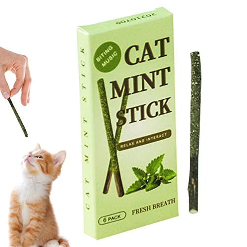 WEITING Catmint Silvervine Katzen-Kauspielzeug für Kätzchen, Zahnreinigung, interaktives Kauspielzeug, Silvervine Sticks für aggressive Kauer, alle Altersgruppen, Rassen WEITING Catmint Silvervine Katzen-Kauspielzeug für Kätzchen, Zahnreinigung, interaktives Kauspielzeug, Silvervine Sticks für aggressive Kauer, alle Altersgruppen, Rassen von WEITING