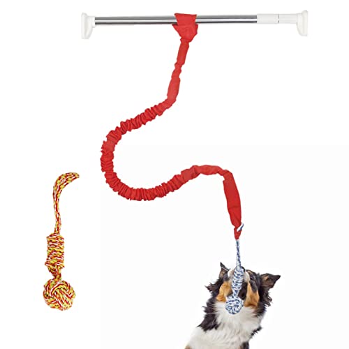 WEITING Seil-Schießspielzeug, Seilspiele für Hunde für aggressive kleine und mittelgroße Kauer, Saiten für zahnärztliche Hunde für schwere Anwendungen für mittelgroße Hunde, Spielzeug von WEITING