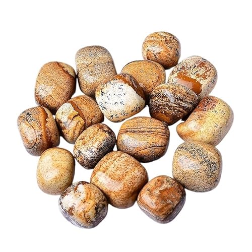 Fischfischsteine, Kristallrohsteine, Mineralienproben, wissenschaftliche Aquarium-Dekoration, natürlich, 2–3 cm (500–1000 g)(2-3cm1000g) von WEITINGKKK