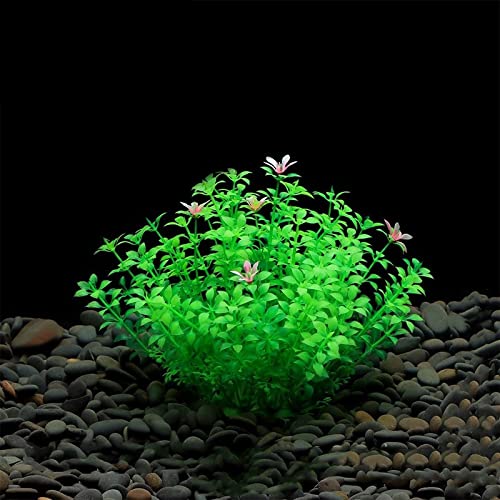 Künstliche Plastikpflanzen Dekoration, Aquarium Künstliche Pflanzen Aquarium Dekor Simulation Wasserpflanzen Multicolor 4er Pack(B Green) von WEITINGKKK