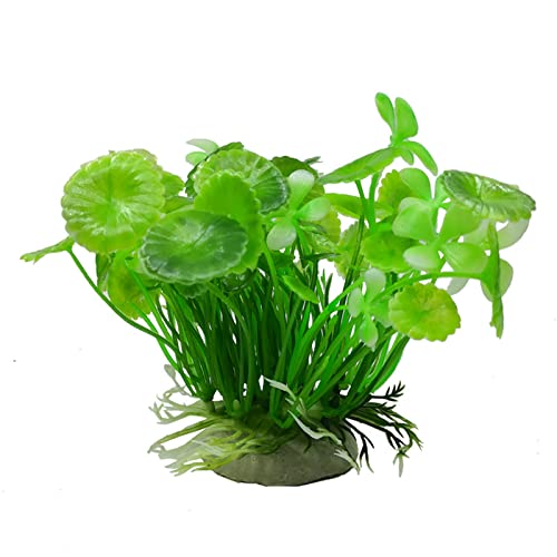 Künstliche Plastikpflanzen Dekoration, Künstliche Aquarienpflanzen, 2er-Pack, mehrfarbige Aquariumdekoration aus Kunststoff(Green) von WEITINGKKK