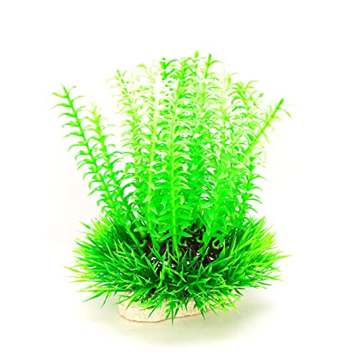 Künstliche Plastikpflanzen Dekoration, Künstliche Aquarienpflanzen, Kunststoff, Dekoration for Aquarien, 15 x 12 cm, Mehrfarbig, 2 Stück(Green White) von WEITINGKKK