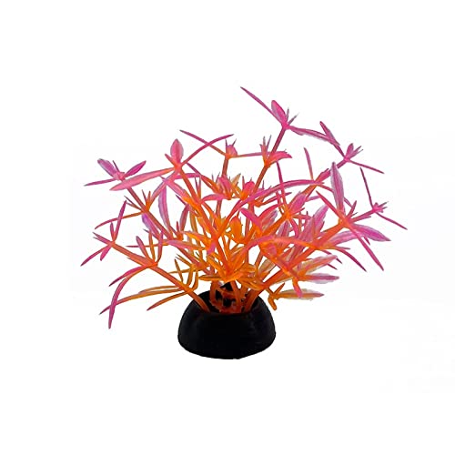 Künstliche Plastikpflanzen Dekoration, Künstliche Aquariumpflanzen, 20 Stück, Kunststoff, Mehrfarbig, 5 cm Höhe, Dekoration for Aquarien(1) von WEITINGKKK