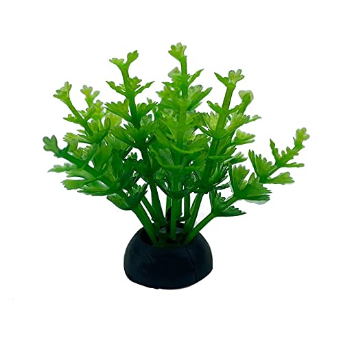 Künstliche Plastikpflanzen Dekoration, Künstliche Aquariumpflanzen, 20 Stück, Kunststoff, Mehrfarbig, 5 cm Höhe, Dekoration for Aquarien(18) von WEITINGKKK