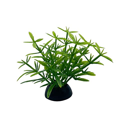 Künstliche Plastikpflanzen Dekoration, Künstliche Aquariumpflanzen, 20 Stück, Kunststoff, Mehrfarbig, 5 cm Höhe, Dekoration for Aquarien(2) von WEITINGKKK