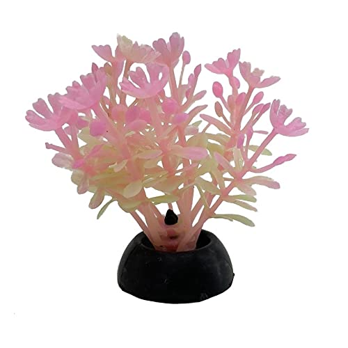 Künstliche Plastikpflanzen Dekoration, Künstliche Aquariumpflanzen, 20 Stück, Kunststoff, Mehrfarbig, 5 cm Höhe, Dekoration for Aquarien(24) von WEITINGKKK
