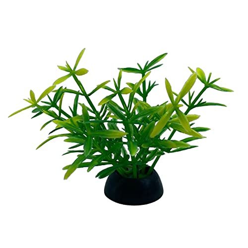 Künstliche Plastikpflanzen Dekoration, Künstliche Aquariumpflanzen, 20 Stück, Kunststoff, Mehrfarbig, 5 cm Höhe, Dekoration for Aquarien(4) von WEITINGKKK