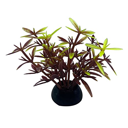 Künstliche Plastikpflanzen Dekoration, Künstliche Aquariumpflanzen, 20 Stück, Kunststoff, Mehrfarbig, 5 cm Höhe, Dekoration for Aquarien(5) von WEITINGKKK