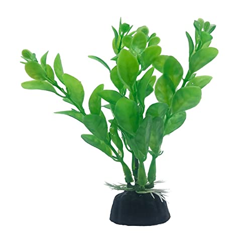 Künstliche Plastikpflanzen Dekoration, Künstliche Pflanzen for Aquarien, 10 Stück, Mehrfarbig, 10 cm hoch, Kunststoff, Dekoration for Aquarien, Simulation von Wassergras, Hintergrund(19) von WEITINGKKK