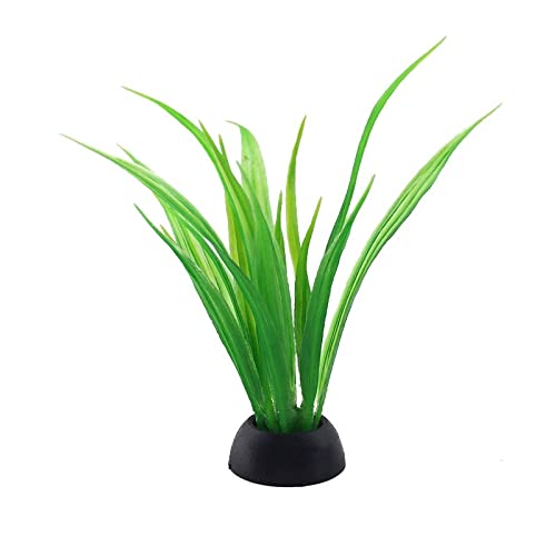 Künstliche Plastikpflanzen Dekoration, Künstliche Pflanzen for Aquarien, 10 Stück, Mehrfarbig, 10 cm hoch, Kunststoff, Dekoration for Aquarien, Simulation von Wassergras, Hintergrund(2) von WEITINGKKK