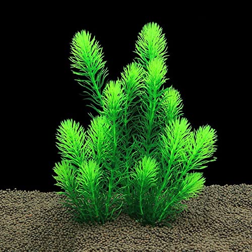 Künstliche Plastikpflanzen Dekoration, Künstliche Wasserpflanzen aus Kunststoff, 2er-Pack, Mehrfarbig, 26 cm, Aquarium-Dekoration(Green) von WEITINGKKK