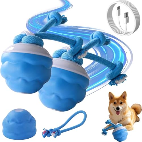 Yobensun Hundespielzeug, Power Tail 2.0 Hundespielzeug – Seildesign, Interaktiver Hundespielzeugball mit Bewegungsaktivierung, USB-aufladbar für gelangweilte große, mittelgroße und kleine Hunde (2PCS) Yobensun Hundespielzeug, Power Tail 2.0 Hundespielzeug – Seildesign, Interaktiver Hundespielzeugball mit Bewegungsaktivierung, USB-aufladbar für gelangweilte große, mittelgroße und kleine Hunde (2PCS) von WEIWOGU