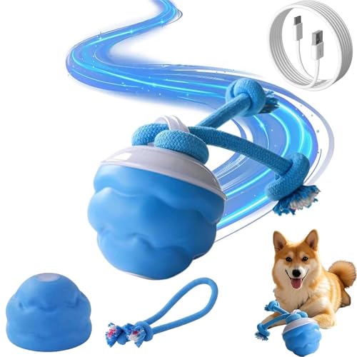 Yobensun Hundespielzeug, Power Tail 2.0 Hundespielzeug – Seildesign, Interaktiver Hundespielzeugball mit Bewegungsaktivierung, USB-aufladbar für gelangweilte große, mittelgroße und kleine Hunde (1PCS) Yobensun Hundespielzeug, Power Tail 2.0 Hundespielzeug – Seildesign, Interaktiver Hundespielzeugball mit Bewegungsaktivierung, USB-aufladbar für gelangweilte große, mittelgroße und kleine Hunde (1PCS) von WEIWOGU