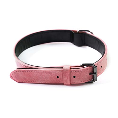 Personalisiertes Hundehalsband aus Leder, verstellbar, robustes Nylon, individuelle Gravur mit Metallschnalle, gestalten Sie Ihre einzigartigen Haustier-ID-Halsbänder (XS, S, M, L) von WEIWU