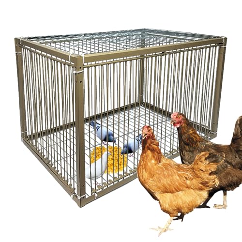 38,1 cm H Hühnertaubenfalle Käfig Vogelkäfig Kleintierfalle Käfig mit ausbruchsicherem Design für Vogel Truthahn Ente Taube (59,9 cm L x 39,9 cm B x 39,9 cm H) von WEIYOONS