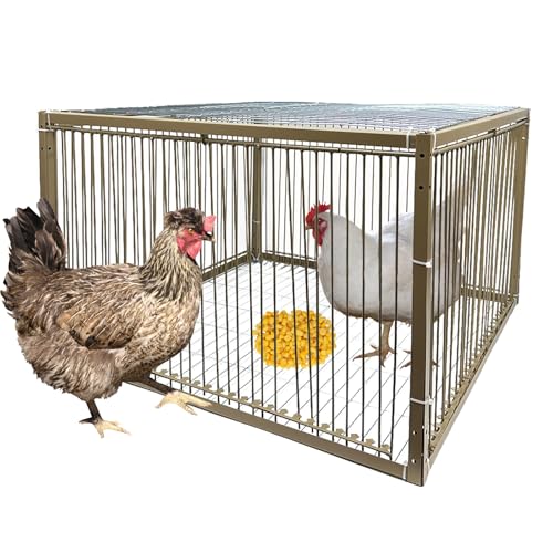 38,1 cm H Hühnertaubenfalle Käfig Vogelkäfig Kleintierfalle Käfig mit ausbruchsicherem Design für Vogel Truthahn Ente Taube (59,9 cm L x 59,9 cm B x 39,9 cm H) von WEIYOONS