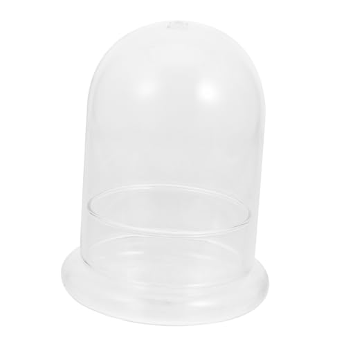 Glasökologische Flasche für Mikrolandschaften DIY Moosflasche für Pflanzen und Dekoration Langlebig und Perfektes für Freunde Glasökologische Flasche für Mikrolandschaften DIY Moosflasche für Pflanzen und Dekoration Langlebig und Perfektes für Freunde von WEKADRIN