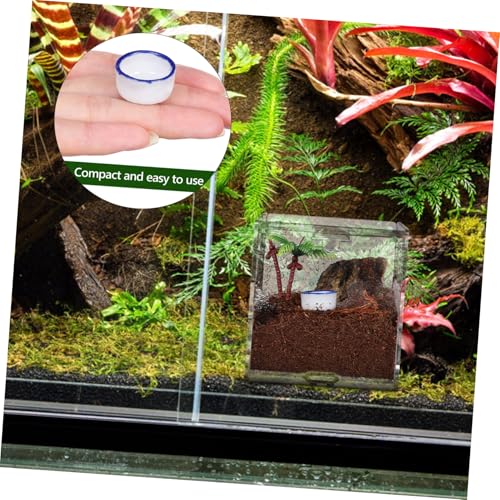 WEKADRIN 12 Stück Teiliges Mini wasserbecken aus Langlebigem Rutschfester Trinknapf für Kleine Reptilien und Vogelspinnen Vielseitig als Futternapf und Terrarienzubehör Sicher und Stabil von WEKADRIN