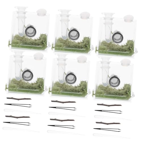 WEKADRIN 2 Sätze Transparente Aufzuchtbox für Springspinnen und Schnecken Kunststoff Terrarium mit Belüftung Geeignet für Kleine Spinnen Insekten und Kleintiere Praktisches Habitat zur von WEKADRIN