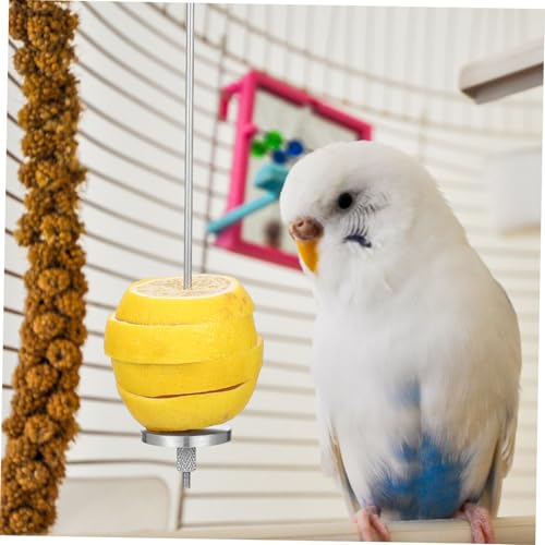 WEKADRIN 2 Stück Edelstahl Vogelspieße Futterhalter für Käfig Rostfrei Einfach zu Hängen für Papageien Wellensittiche Nymphensittiche Gemüse Obstspieße als Vogelspielzeug und Futterhilfe von WEKADRIN