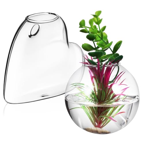 WEKADRIN 2 Stück Hochwertige Hängende Glas Vasen aus Bruchsicherem Borosilikat für Wand Pflanzenvermehrung Transparente Propagation Station mit Fischschale Funktion und Einfache WEKADRIN 2 Stück Hochwertige Hängende Glas Vasen aus Bruchsicherem Borosilikat für Wand Pflanzenvermehrung Transparente Propagation Station mit Fischschale Funktion und Einfache von WEKADRIN