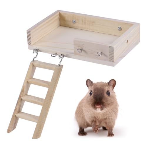 WEKADRIN 2 Stück Holz Hamster Kletterleiter und Plattform Set Kleintier Stabile Holzleiter zum Klettern und Springen für Hamster und Kleine Haustiere Einfache Installation WEKADRIN 2 Stück Holz Hamster Kletterleiter und Plattform Set Kleintier Stabile Holzleiter zum Klettern und Springen für Hamster und Kleine Haustiere Einfache Installation von WEKADRIN