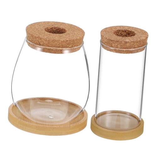 WEKADRIN 2 Stück Hydroponische Glas pflanzvase mit Korkdeckel und Tablett Transparente Anzuchtstation für Wasserpflanzen Stilvolle Glas pflanztöpfe mit Belüftung für Kleine Pflanzen und WEKADRIN 2 Stück Hydroponische Glas pflanzvase mit Korkdeckel und Tablett Transparente Anzuchtstation für Wasserpflanzen Stilvolle Glas pflanztöpfe mit Belüftung für Kleine Pflanzen und von WEKADRIN